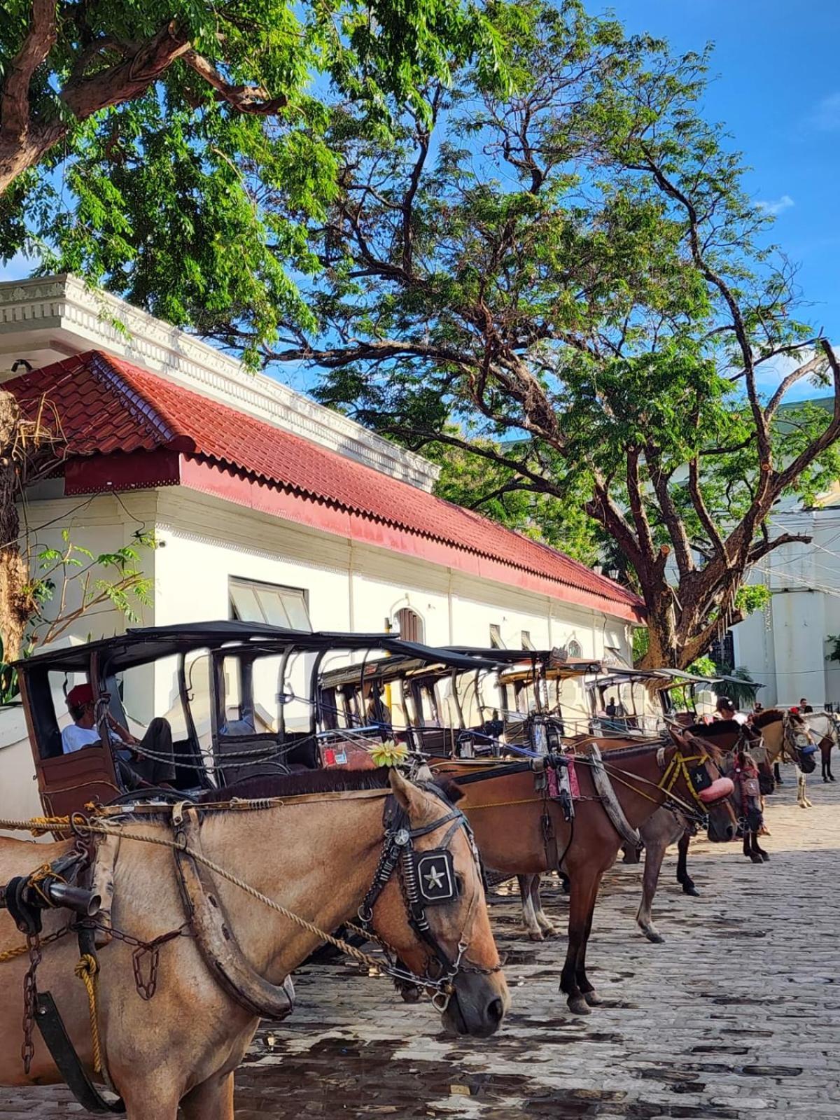 The Orange House - Vigan Villa ภายนอก รูปภาพ